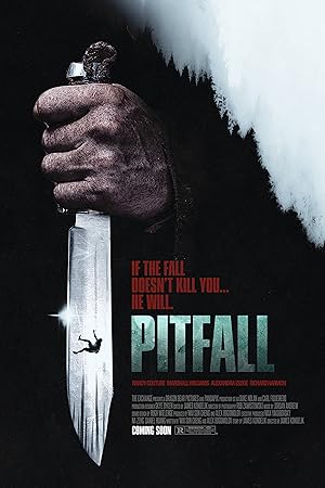 Pitfall VJ JUNIOR