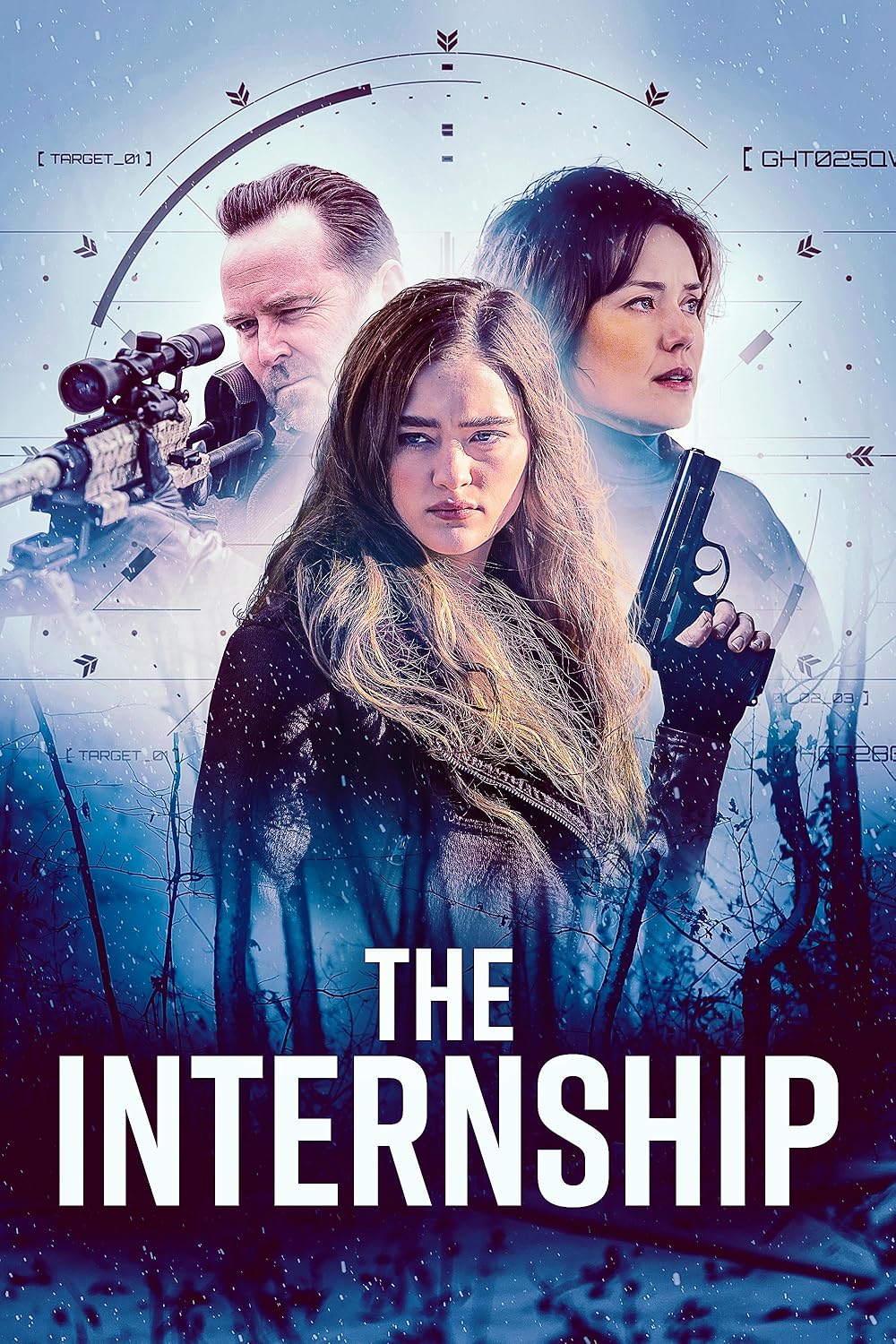 The Internship